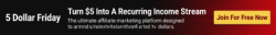 worldprofit-banner-main (19).png
