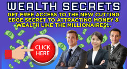 WEALTH SECRET.png