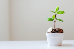 yamu_jay-plant-growing-9208012_1280.jpg