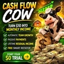 cashflow125.jpg
