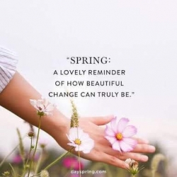 spring.jpg