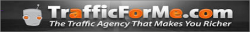 TrafficForMe1.PNG