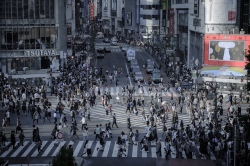 shibuya-2328029_640.jpg