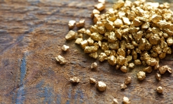 golden-nuggets-2.jpg