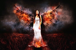 angel-1284369_1280.jpg