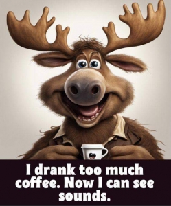 FB_IMG_1705519376119.jpg