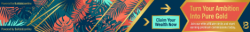 worldprofit-banner-variation-2 (36).png