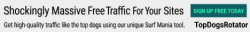 worldprofit-banner-variation-1 (66).png