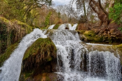 cascade-7152189_1280.jpg
