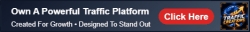 buildabizonline-animated-banner (33).gif
