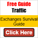 Free Guide Traffic Exchange Survival Guide.png