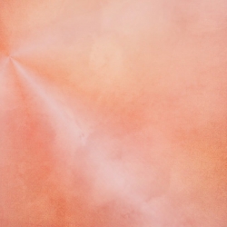 pink-794507_640.jpg