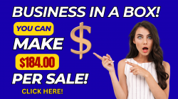 BIZINBOX1.png
