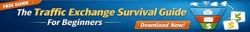 Traffis Exchange Survival Guide 468x60 Banner 1.jpg