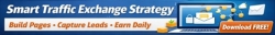 Traffis Exchange Survival Guide 468x60 Banner 3.jpg