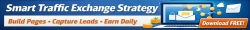 Traffis Exchange Survival Guide 728x90 Banner 3.jpg