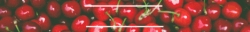 bb8379a403e15d8ee1228c96ee24e3bb.gif
