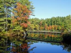 Fall NH.jpg