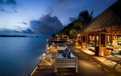 bg-tropical-3.jpg