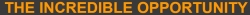 bob.jpg