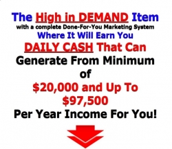 DNP-Daily-Net-Pay-Traffic-On-Demand.jpg