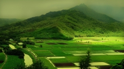 bg00333.jpg