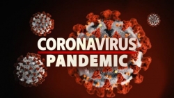 breakthrough-cure-for-SARS-Cov2-Coronavirus.jpg