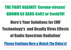 EMF-IBO.png