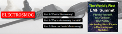 EMF1.png