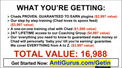Go-To-Webinar-Flippa1.png