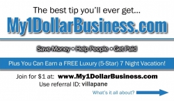 my1dollarbusiness-business-card-front-lg.jpg