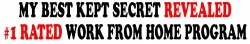 my-best-secret-of-working-from-home-revealed.jpg