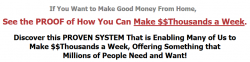 My1-Dollar-Business_3.png