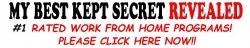 my-best-secret-of-working-from-home-revealed-Copy-Copy.jpg