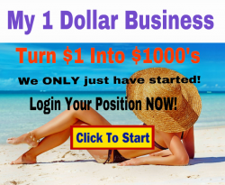 My1-Dollar-Business_4.png