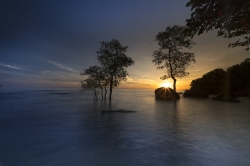 sun-gc5b0786aa_1920.jpg