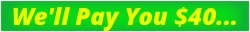 Netspend We ll Pay You 40 Flash banner 728x94.gif