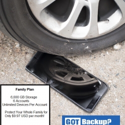gotbackupcar600x300.jpg