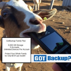 gbgoateatsphone.jpg