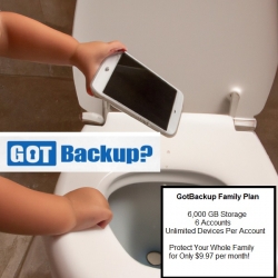 gbtoilet.jpg