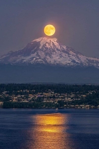 ezgif.com-resize (8).jpg