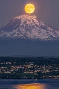 ezgif.com-resize (9).jpg