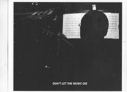 Dont let the music die 250x182.jpg