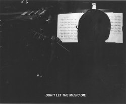 Dont let the music die Benjamin 5.jpg
