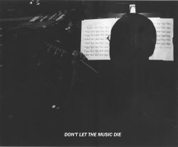 Dont let the music die Benjamin 5 250x207.jpg