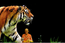 Scott Rohn.png