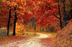 road-gd2b5a3b1a_1920.jpg