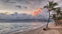 beach1.jpg