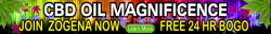 cbd-oil-magnificence-orig_orig.png