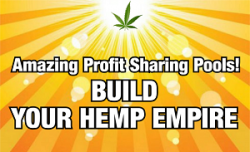 amazing-profit-sharing-pools-zogena.png